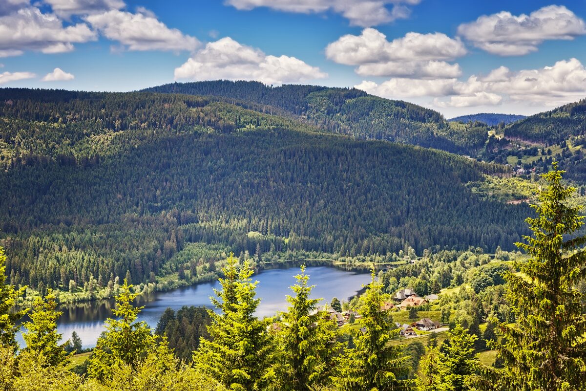 Deutschland (Schwarzwald, Schluchsee)