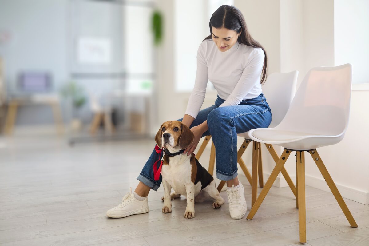 Le Medical training chez le chien : des effets secondaires positifs