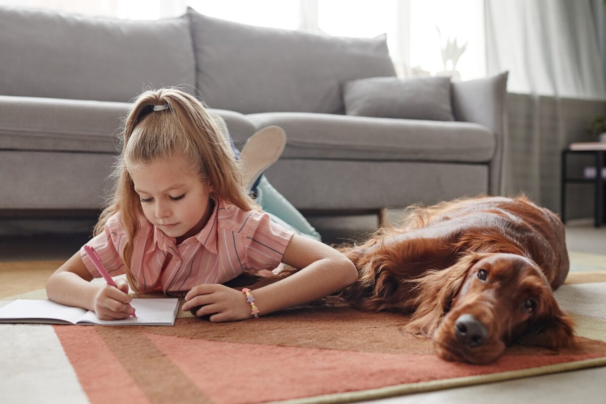 Kind und Hund: Chancen, Verantwortung und Regeln